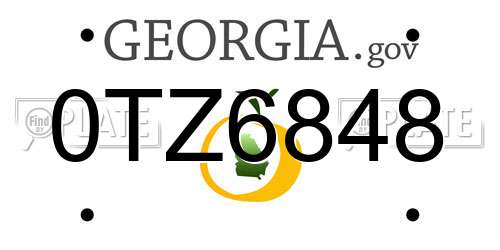 0TZ6848 Georgia License Plate