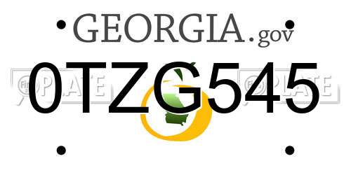 0TZG545 Georgia License Plate