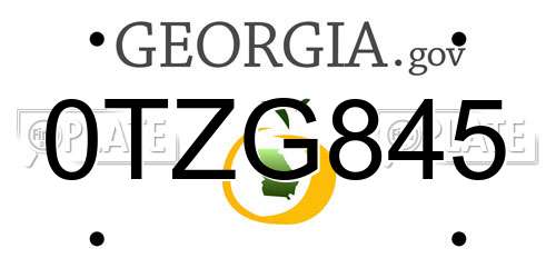 0TZG845 Georgia License Plate