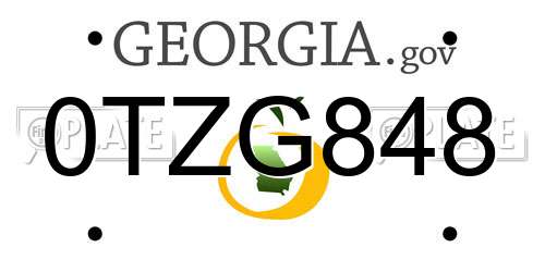 0TZG848 Georgia License Plate