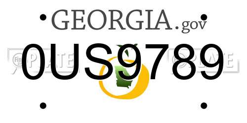 0US9789 Georgia License Plate