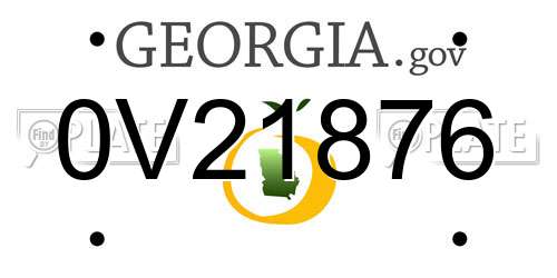 0V21876 Georgia License Plate