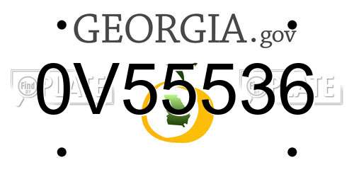 0V55536 Georgia License Plate