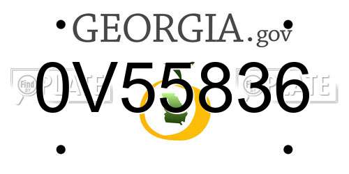 0V55836 Georgia License Plate