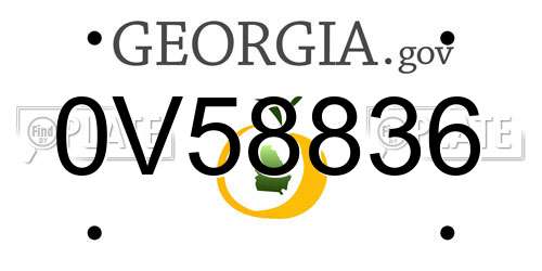 0V58836 Georgia License Plate