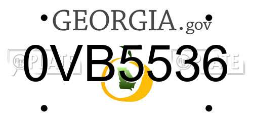 0VB5536 Georgia License Plate