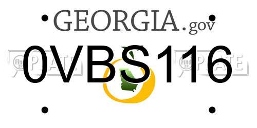 0VBS116 Georgia License Plate