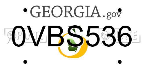 0VBS536 Georgia License Plate