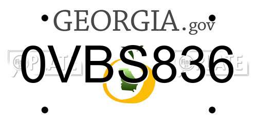 0VBS836 Georgia License Plate