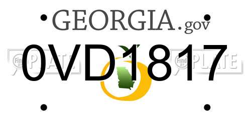 0VD1817 Georgia License Plate