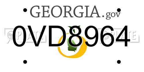 0VD8964 Georgia License Plate