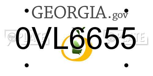 0VL6655 Georgia License Plate