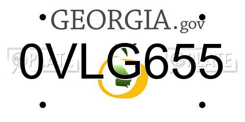 0VLG655 Georgia License Plate