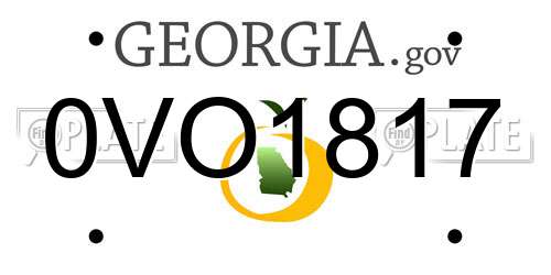 0VO1817 Georgia License Plate