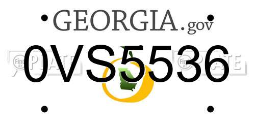0VS5536 Georgia License Plate