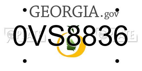 0VS8836 Georgia License Plate