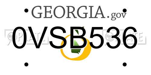 0VSB536 Georgia License Plate