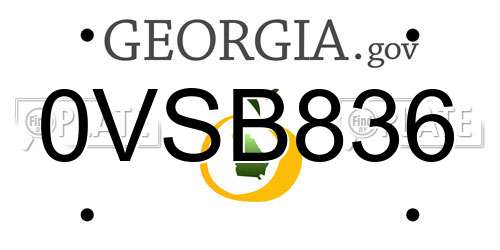 0VSB836 Georgia License Plate