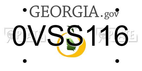 0VSS116 Georgia License Plate