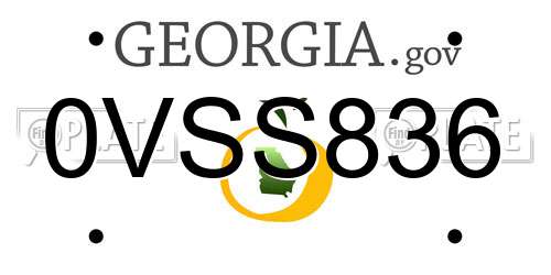 0VSS836 Georgia License Plate