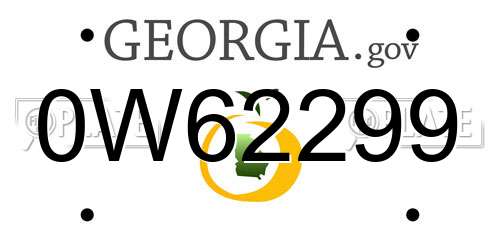 0W62299 Georgia License Plate