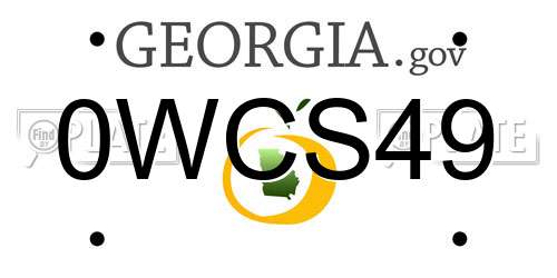 0WCS49 Georgia License Plate