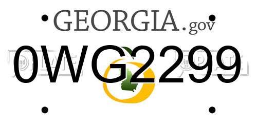 0WG2299 Georgia License Plate