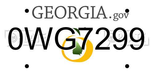 0WG7299 Georgia License Plate