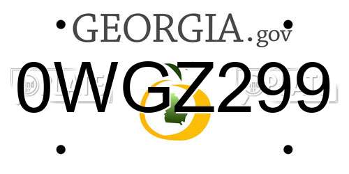 0WGZ299 Georgia License Plate