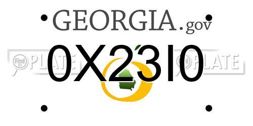 0X23I0 Georgia License Plate