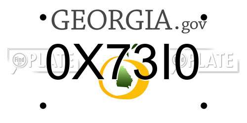 0X73I0 Georgia License Plate