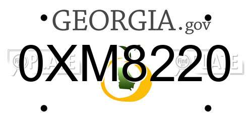 0XM8220 Georgia License Plate