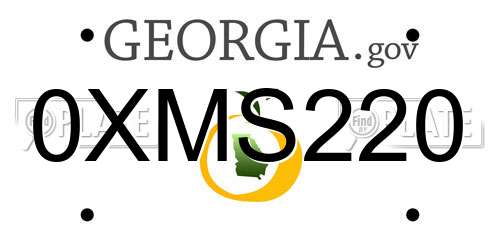 0XMS220 Georgia License Plate