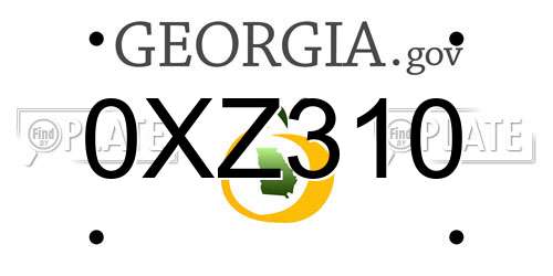 0XZ310 Georgia License Plate