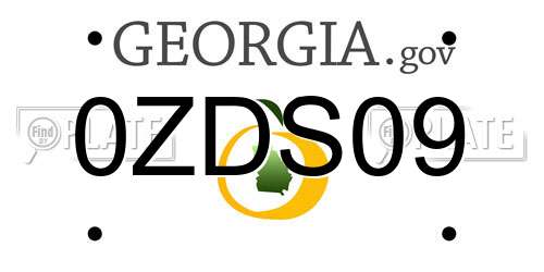 0ZDS09 Georgia License Plate