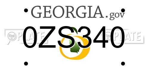 0ZS340 Georgia License Plate