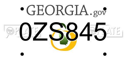 0ZS845 Georgia License Plate