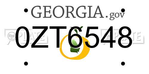 0ZT6548 Georgia License Plate