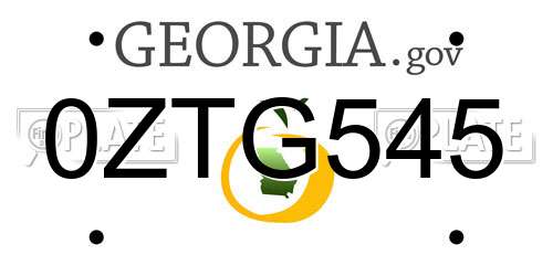 0ZTG545 Georgia License Plate