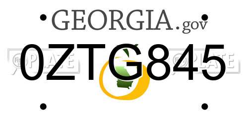 0ZTG845 Georgia License Plate