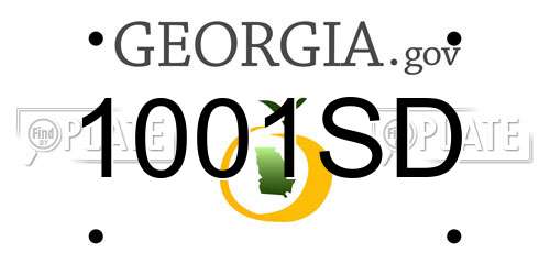1001SD Georgia License Plate