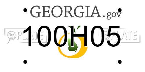 100H05 Georgia License Plate