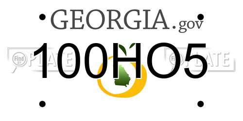 100HO5 Georgia License Plate