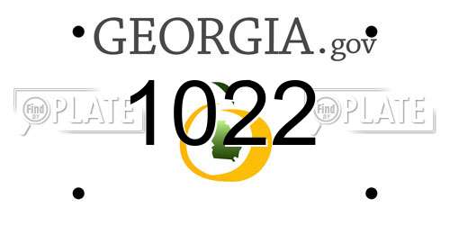 1022 Georgia License Plate