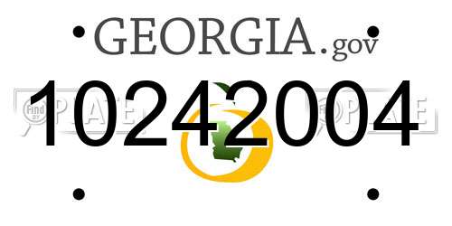 10242004 Georgia License Plate