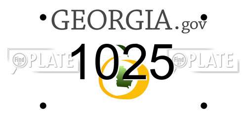 1025 Georgia License Plate