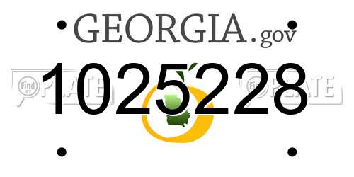 1025228 Georgia License Plate