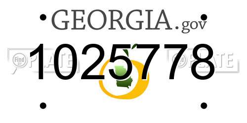 1025778 Georgia License Plate