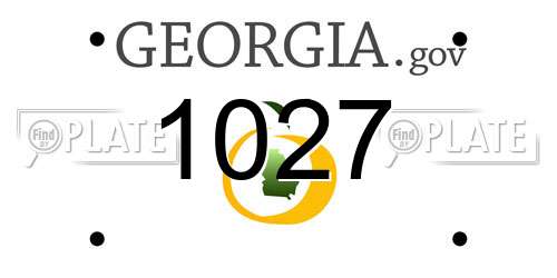 1027 Georgia License Plate