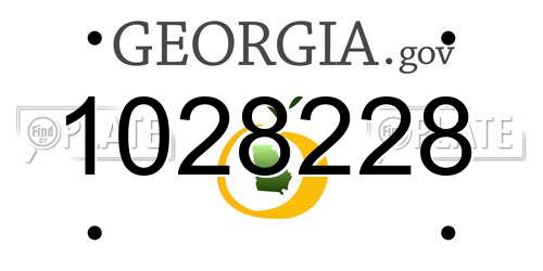 1028228 Georgia License Plate